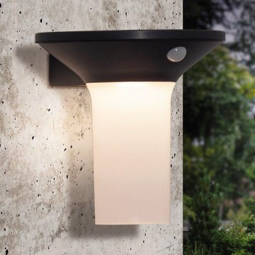 Eglo - Luminária solar LED para exterior com sensor 6xLED/0,03W/3,7V IP44