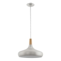 Eglo - Lustre suspenso por cabo 1xE27/40W/230V, diâmetro 40 cm, prateado