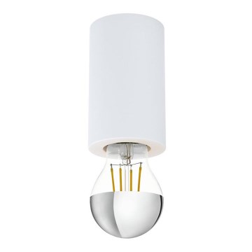 Eglo - Luz de teto 1xE27/40W/230V