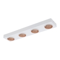 Eglo - Luz de teto fosca LED 4xLED/3,3W/230V