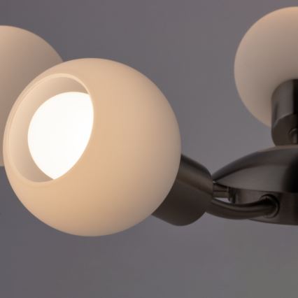 Eglo - Plafon LED MY CHOICE 5xE14/4W/230V cromo mate/branco