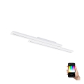 Eglo - Plafon LED RGB regulável SALITERAS-C 2xLED/10W/230V