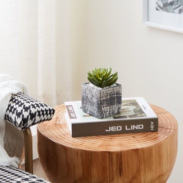 Eglo - Planta artificial em vaso 12x7,5 cm suculenta