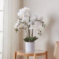 Eglo - Planta artificial em vaso 65x50 cm orquídea