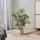 Eglo - Planta artificial em vaso 75x43 cm