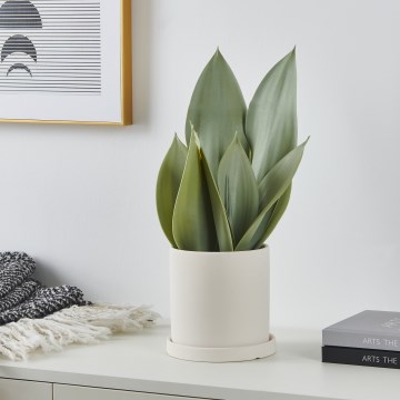 Eglo - Planta artificial num vaso 41,5x28,5 cm