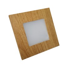 Emithor 48307 - Iluminação de orientação LED STEP LIGHT 16xLED/1W/230V