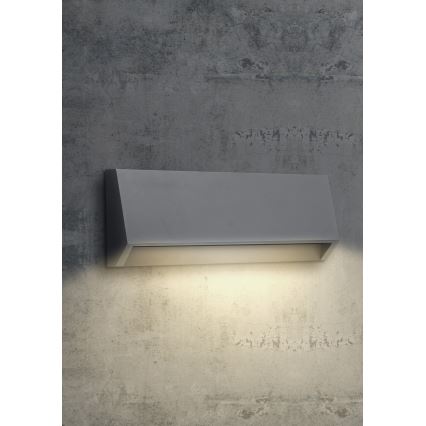 EMITHOR 48330 - Luz de parede LED de exterior RADIX LED/2,9W/230V IP65