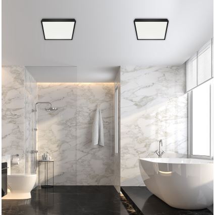 Emithor 49048 - Iluminação de teto de casa de banho LED LENYS LED/18W/230V 190 mm IP44