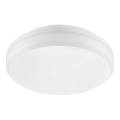 Emithor 63207 - Candeeiro de tecto técnico LED SURFACE LED/30W/230V IP65