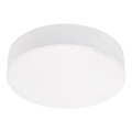 Emithor 63213 - Luminária de teto LED SURFACE LED/20W/230V