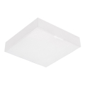 Emithor 63217 - Luminária de teto LED SURFACE LED/20W/230V