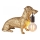 Endon 101187 - Candeeiro de mesa DACHSHUND 1xE27/10W/230V dourado