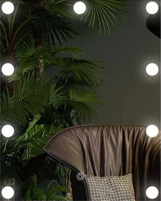 Espelho LED com iluminação 9xLED/1W/230V 3000/4000/6000K 50x40 cm IP44