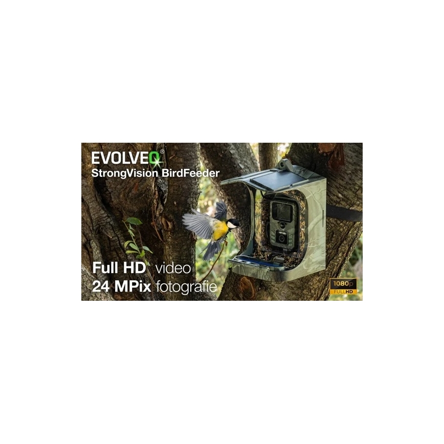 Evolveo - StrongVision BirdFeeder - comedouro inteligente para pássaros com câmara e painéis solares