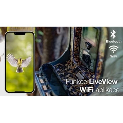 Evolveo - StrongVision BirdFeeder - comedouro inteligente para pássaros com câmara e painéis solares