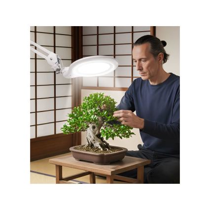 Extol - LED Lâmpada de mesa regulável com lupa LED/10W/230V branca