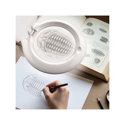 Extol - LED Lâmpada de mesa regulável com lupa LED/10W/230V branca