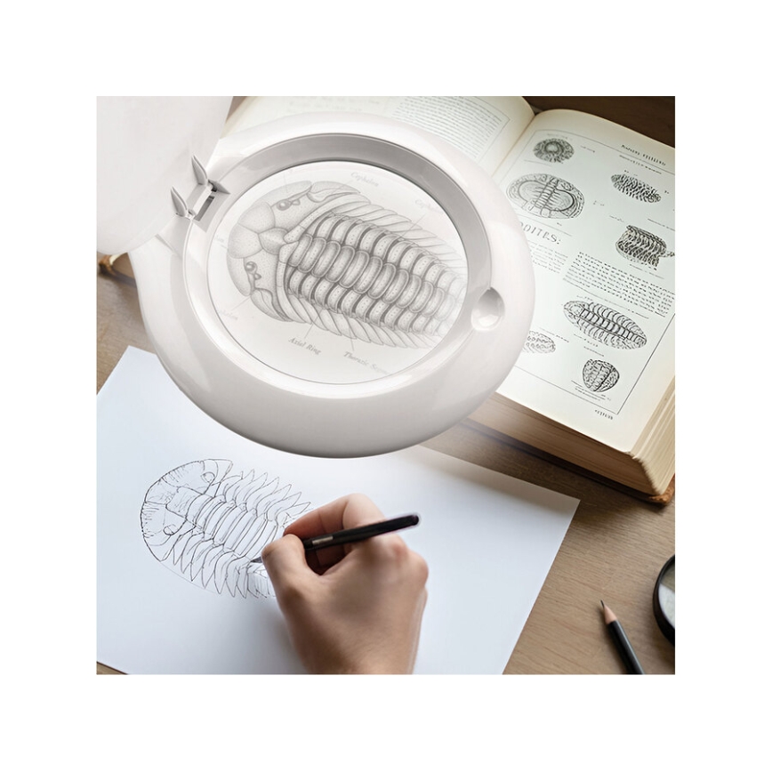 Extol - LED Lâmpada de mesa regulável com lupa LED/10W/230V branca