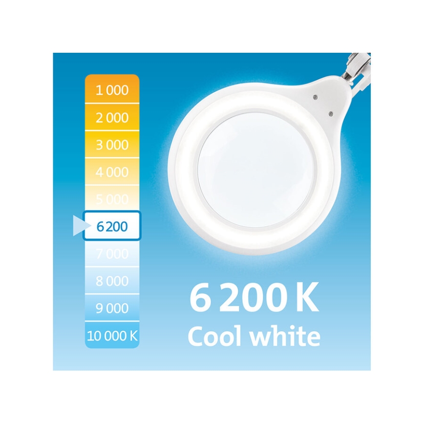 Extol - LED Lâmpada de mesa regulável com lupa LED/10W/230V branca