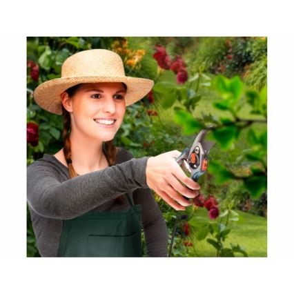 Extol Premium - Tesouras de jardim 180 mm