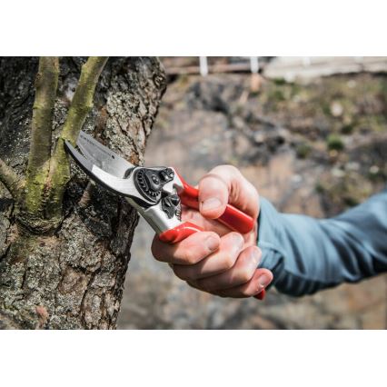 Extol Premium - Tesouras de jardim 215 mm