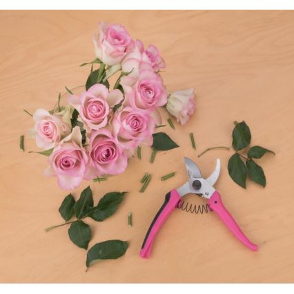 Extol - Tesoura de jardinagem para flores 180 mm