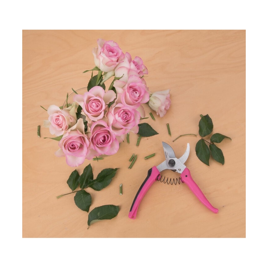 Extol - Tesoura de jardinagem para flores 180 mm