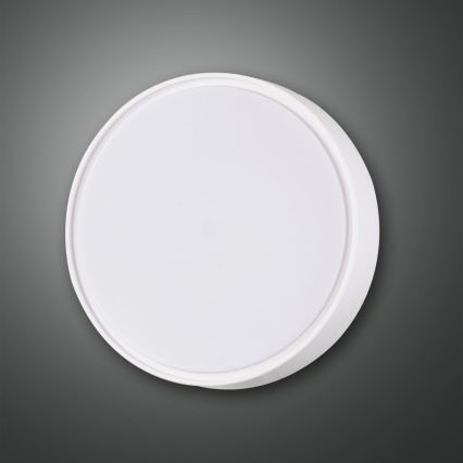 Fabas 3229/61/102 - Luz de trabalho HATTON 1xE27/42W/230V IP65