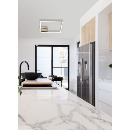 Fabas Luce 3394-61-225 - Iluminação de teto LED com regulação BARD LED/39W/230V 3000K dourada