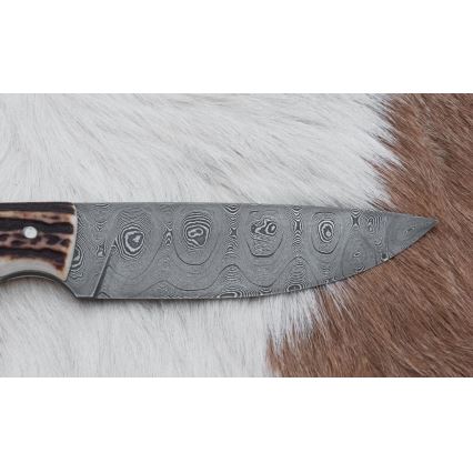 Faca de caça em damasco 11 cm chifre de veado