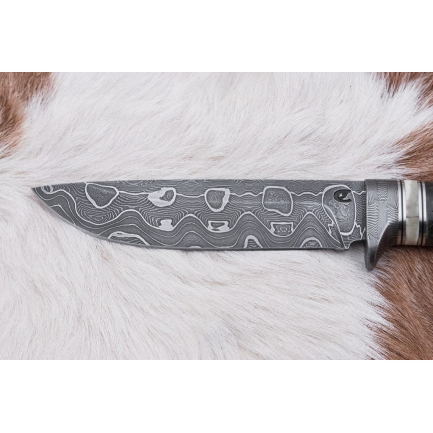 Faca de caça em damasco 13,8 cm Bétula/osso de camelo