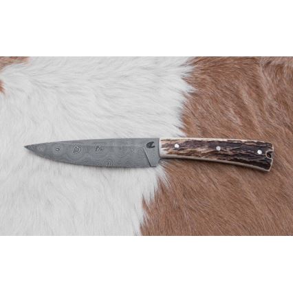 Faca de caça em Damasco com mini-serra 12 cm chifre de veado