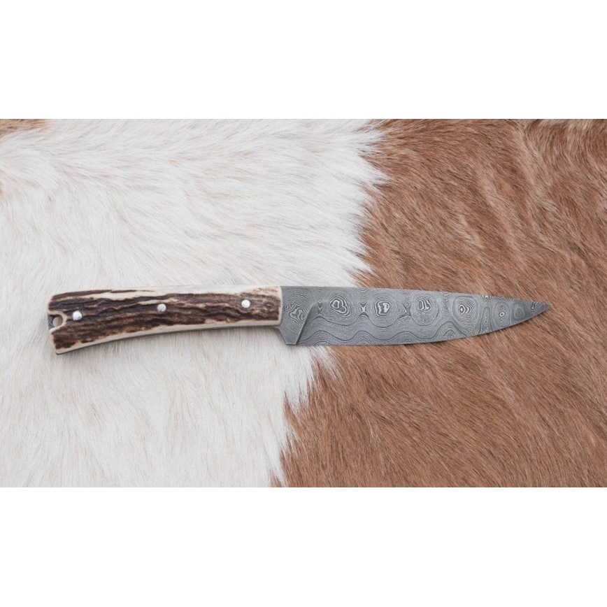 Faca de caça em Damasco com mini-serra 12 cm chifre de veado