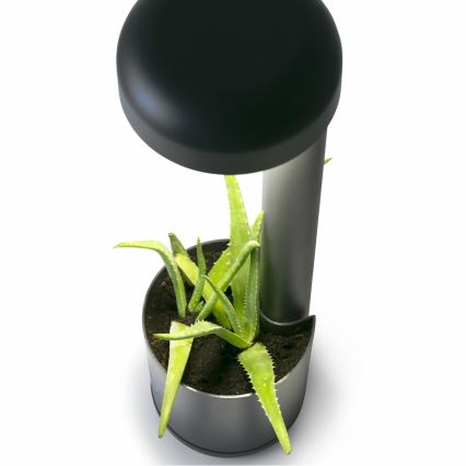 FARO 71206 - Luminária LED de exterior GROW LED/9W/230V IP65