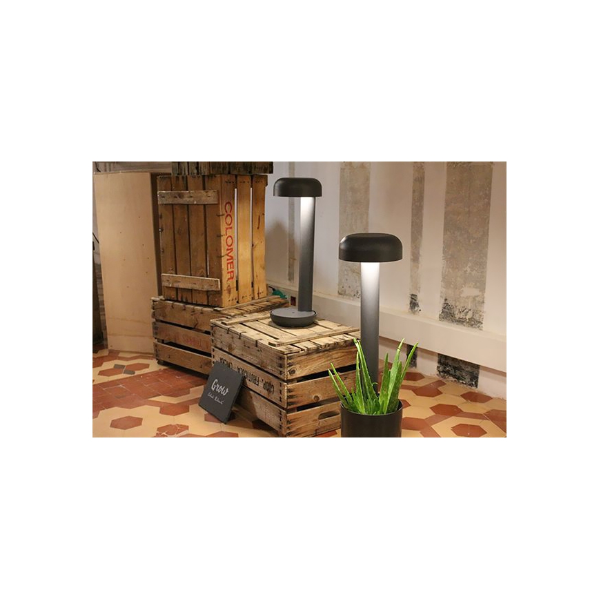 FARO 71206 - Luminária LED de exterior GROW LED/9W/230V IP65