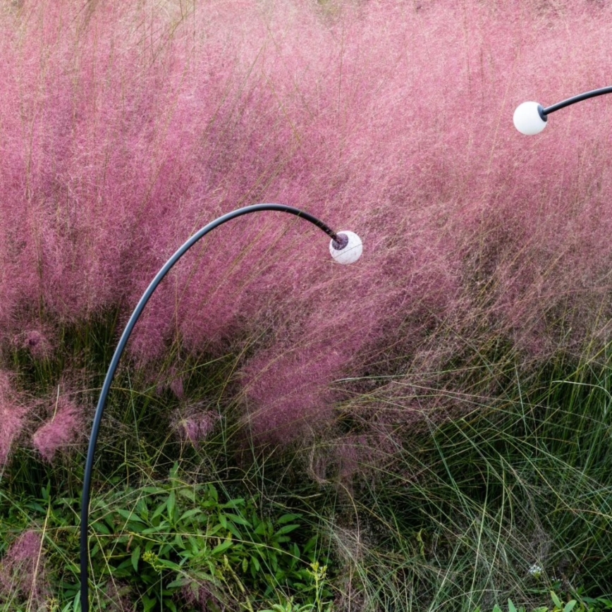 FARO 75562 - Candeeiro exterior LED CUCA LED/3W/24V 119,3 cm IP65 antracite