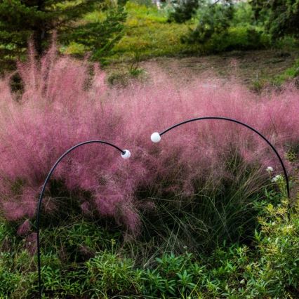 FARO 75562 - Candeeiro exterior LED CUCA LED/3W/24V 119,3 cm IP65 antracite