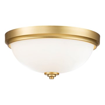 Feiss - Iluminação de teto para casa de banho MALIBU 2xE27/60W/230V IP44