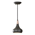 Feiss - Lustre pendente BESO 1xE27/60W/230V Ø 17,9 cm preto/cobre