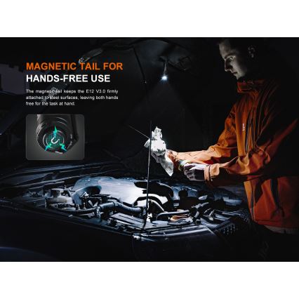 Fenix E12V30 - Lanterna LED recarregável com regulação de brilho LED/1xAA 2000 mAh IP68 200 lm 100 h preta