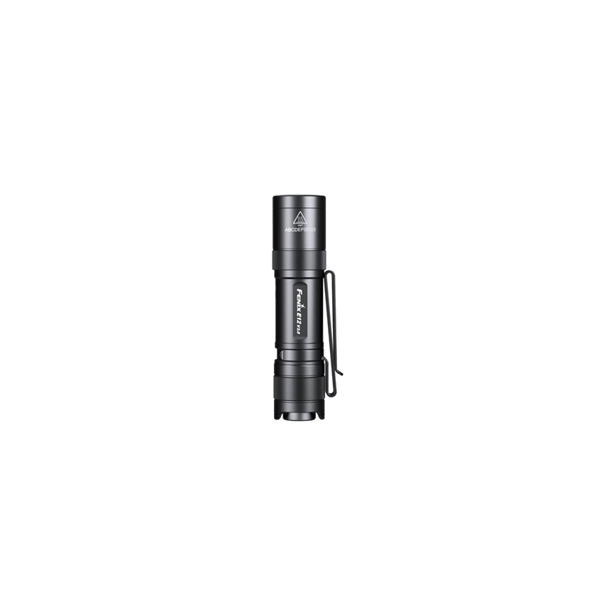 Fenix E12V30 - Lanterna LED recarregável com regulação de brilho LED/1xAA 2000 mAh IP68 200 lm 100 h preta