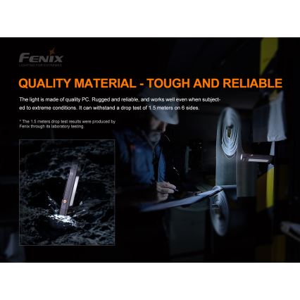 Fenix WT16R - Lanterna recarregável LED 2xLED/USB IP66 300 lm 30 hrs