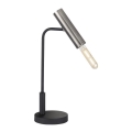 Fischer & Honsel 50214 - Candeeiro de mesa DEAN 1xE27/25W/230V