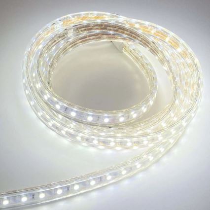 Fita LED EASY CONNECT LED/14,4W/230V 3m IP67 branco frio