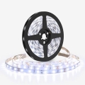 Fita LED LED/50W/12V 5m branco frio