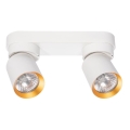 Foco ANDY 2xGU10/8W/230V branco/dourada