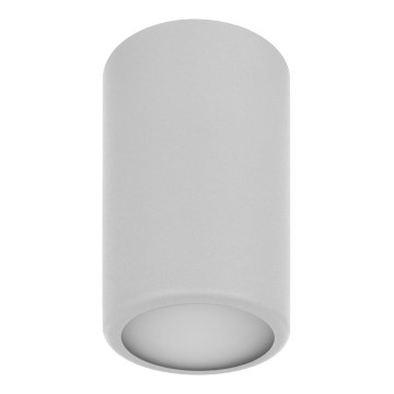 Foco CLEO 1xE27/24W/230V cinzento