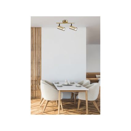 Foco COLLY 2xGU10/15W/230V dourada