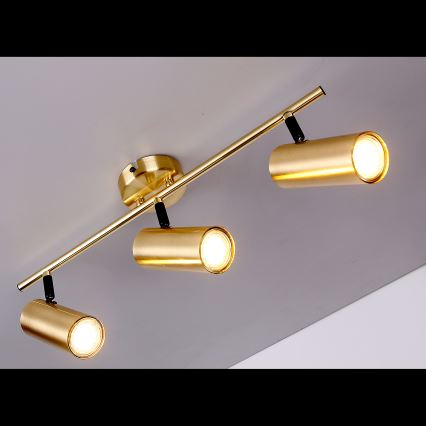 Foco COLLY 3xGU10/15W/230V dourada